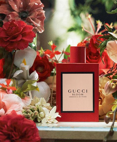 gucci blooming